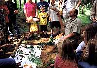 Abenteuer im Wald